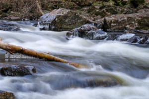 11.1.2024 - Wildbachklamm Buchberger Leite