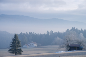 12.1.2024 - Winterstimmung in St. Oswald
