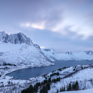 Tromsø & Senja 2024 – Mefjord Tromsø & Senja 2024 – Mefjord