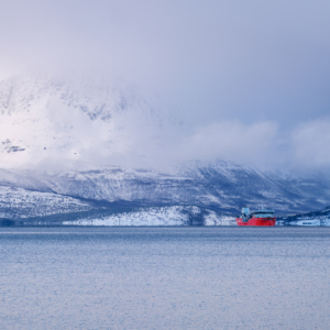 Tromsø & Senja 2024 – Sandnessundbrua Tromsø & Senja 2024 – Sandnessundbrua
