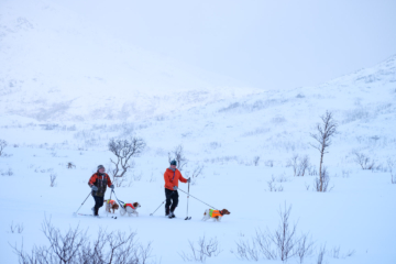 18.2.2024 - Fylkesvei 862 / Kattfjordeidet