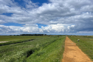 16.6.2024 - Holme Dunes Nature Reserve