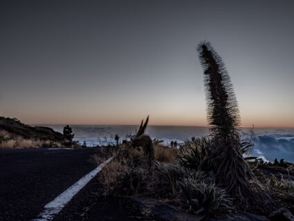 5.9.2024 - Roque de los Muchachos, Vordergrund 2, bearbeitet