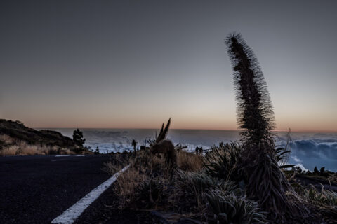 5.9.2024 - Roque de los Muchachos, Vordergrund 2, bearbeitet