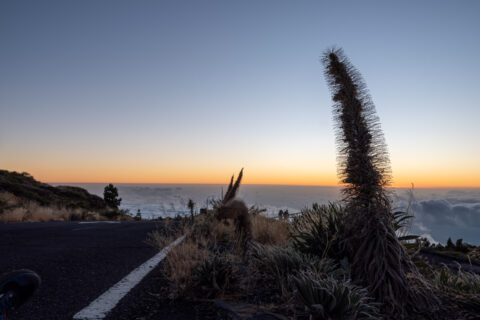 5.9.2024 - Roque de los Muchachos, Vordergrund 2