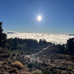 La Palma 2024 – Sunset Llano de los Animas La Palma 2024 – Sunset Llano de los Animas