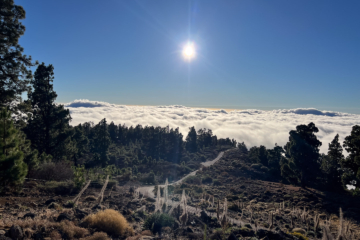 8.9.2024 - Llano de los Animas