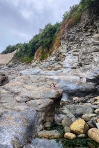 25.9.2024 - Porthleven, Rock Pooling