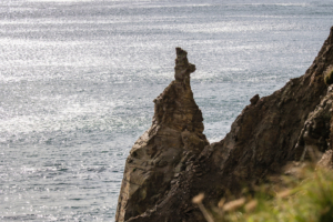 27.9.2024 - Porthleven, Wanderung Tin Mines, Camel Head