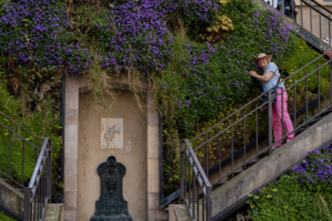 27.4.2025 -Escalier végétalisé Rue Rollin