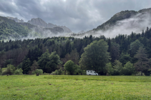 2.6.2025 - Regentag in Selva de Oza