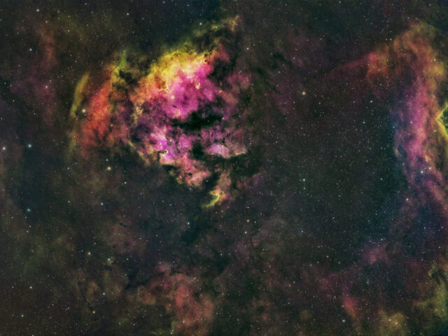 24.10.2025 - NGC 7822 Teddy Bear Nebula, HSO, 1h RGB, 5h Ha, 7h S2, 12h O3 im Okt. 2025