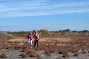 13.11.2025 - Chalkidiki, Agios Mamas Wetland