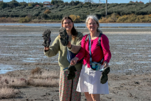 13.11.2025 - Chalkidiki, Agios Mamas Wetland