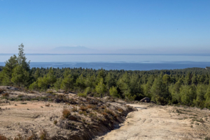 14.11.2025 - Wanderung Bienen, Petros Felsen