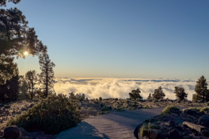 8.3.2026 - Auffahrt zum Llano de las Animas. 6 km im 1. Gang bergauf.