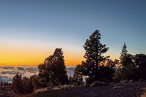 8.3.2026 - Llano de las Animas