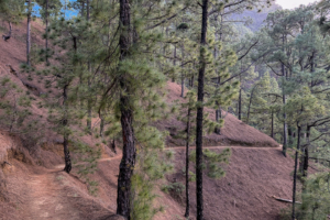 11.3.2026 - Wandern Mirador Cumbrecita