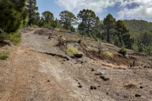 13.3.2026 - Wanderung Hacienda La Palma