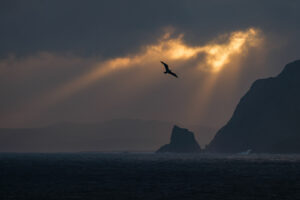 4.9.2026 - Donegol, Fanad Head Lighthouse